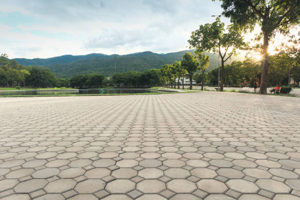 Best Driveway Pavers Near Me  in Lumberton, NC