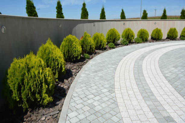Best Commercial Driveway Pavers  in Lumberton, NC
